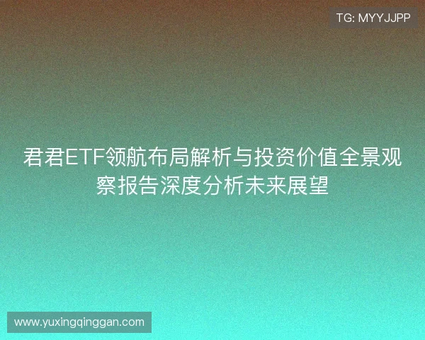 君君ETF领航布局解析与投资价值全景观察报告深度分析未来展望