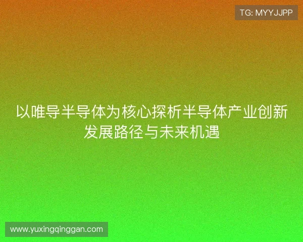 以唯导半导体为核心探析半导体产业创新发展路径与未来机遇 以唯导半导体为核心探析半导体产业创新发展路径与未来机遇